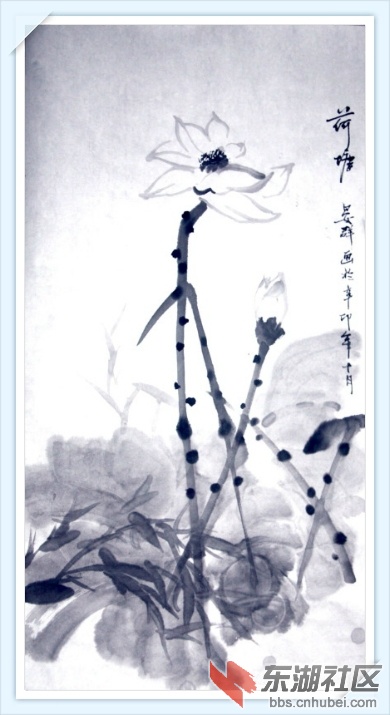 荷塘_1.jpg