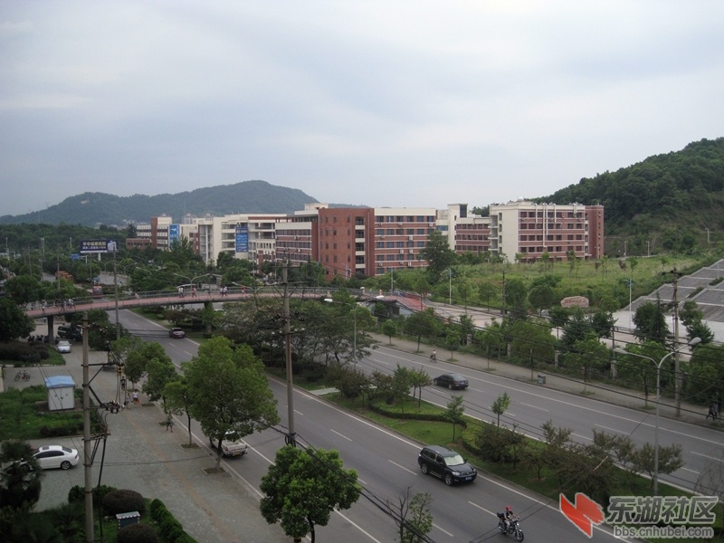 IMG_1427.jpg