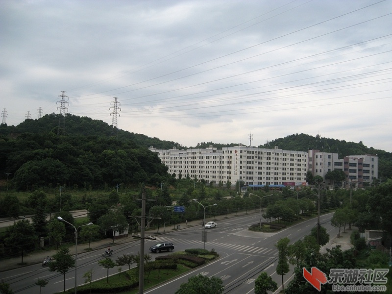 IMG_1429.jpg