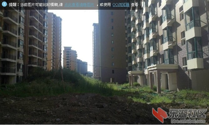 整个小区路也没修杂草丛生，