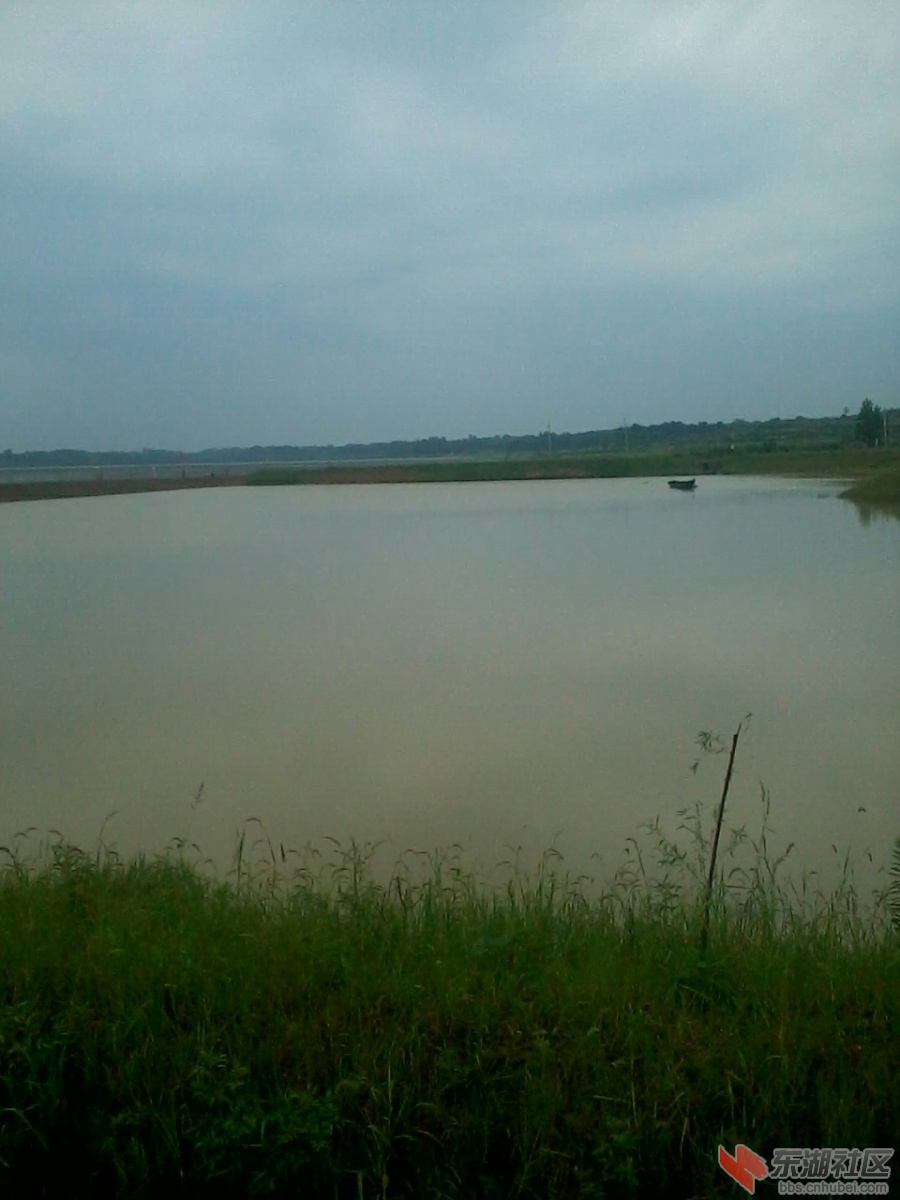 IMG_20130707_105703.jpg