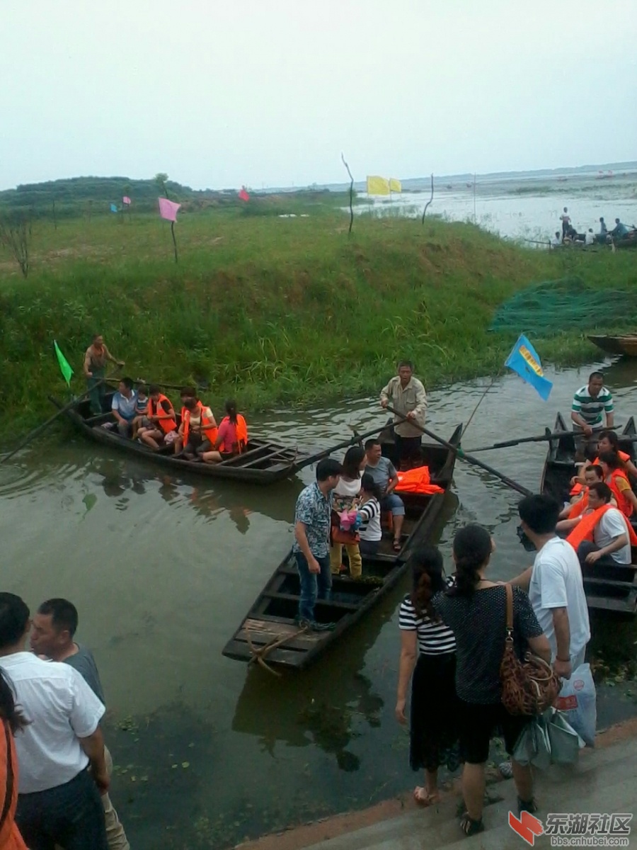 IMG_20130707_105942.jpg