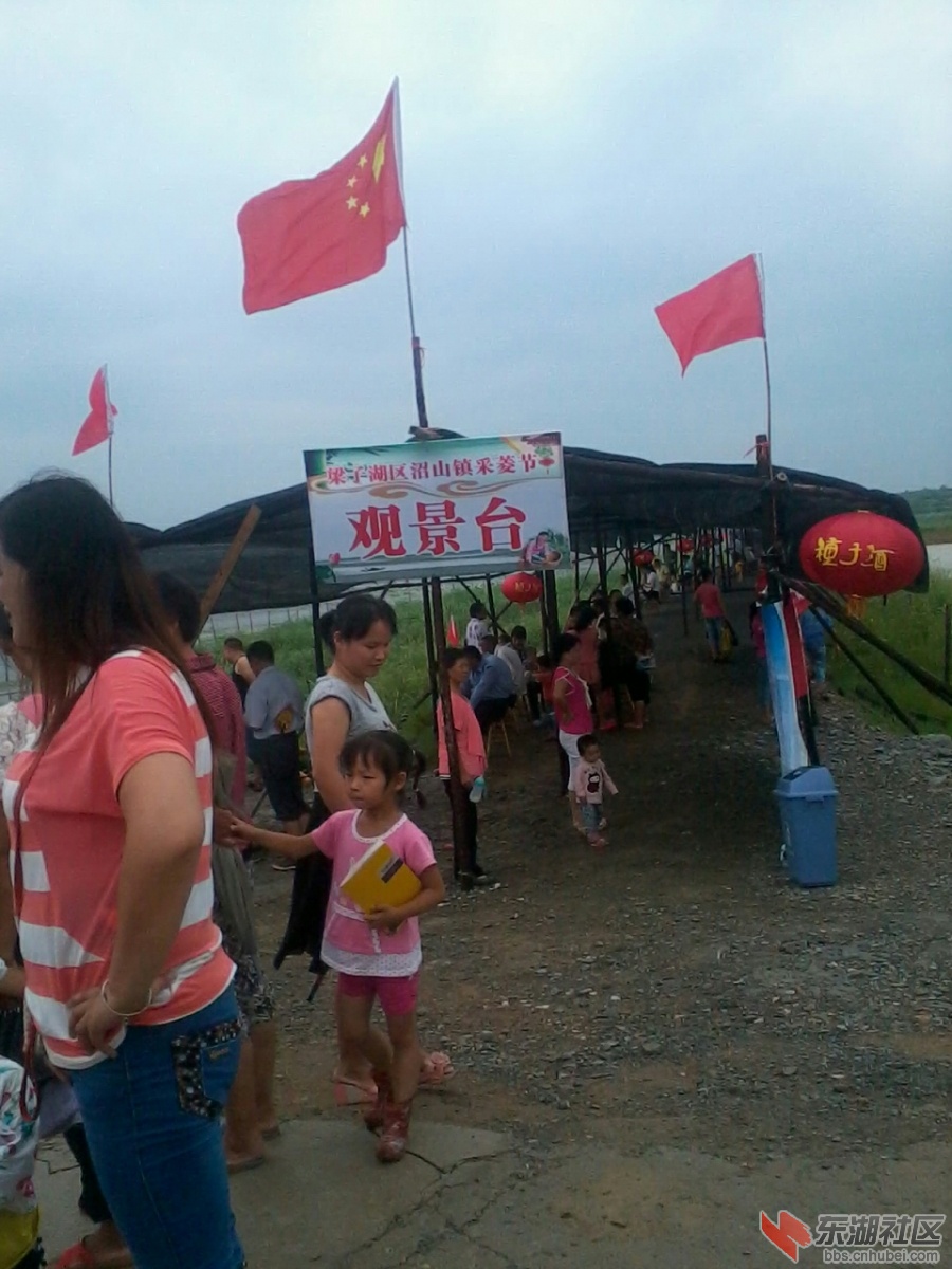 IMG_20130707_110314.jpg
