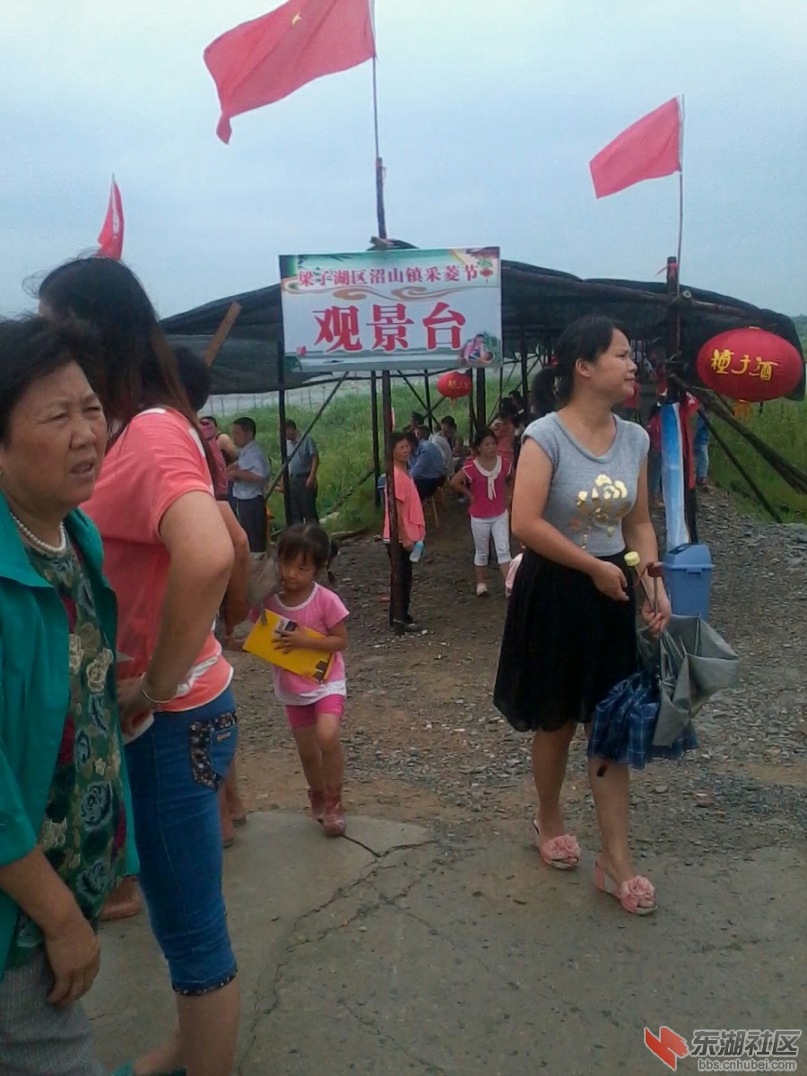 IMG_20130707_110318.jpg