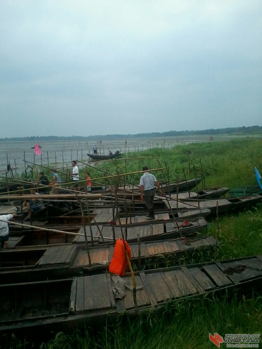IMG_20130707_110335.jpg