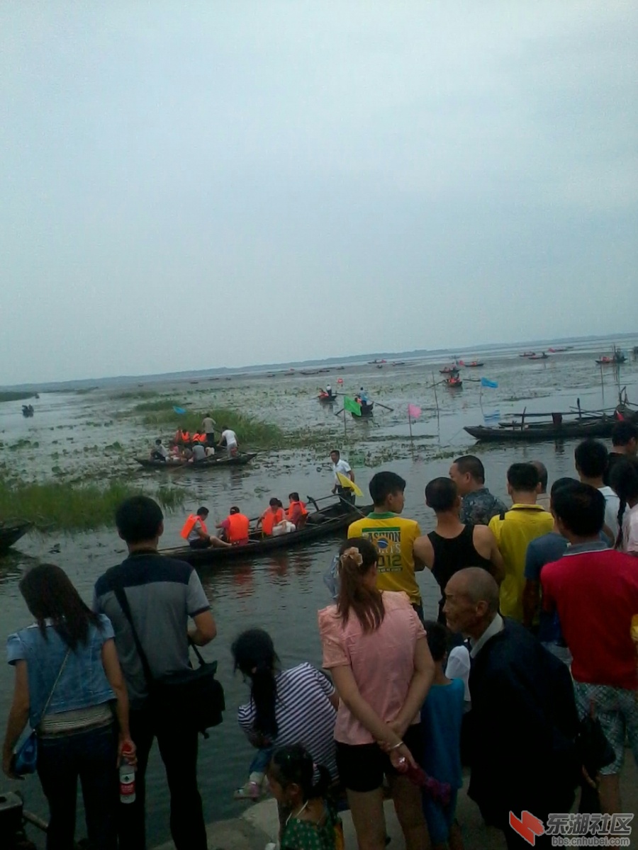 IMG_20130707_110429.jpg
