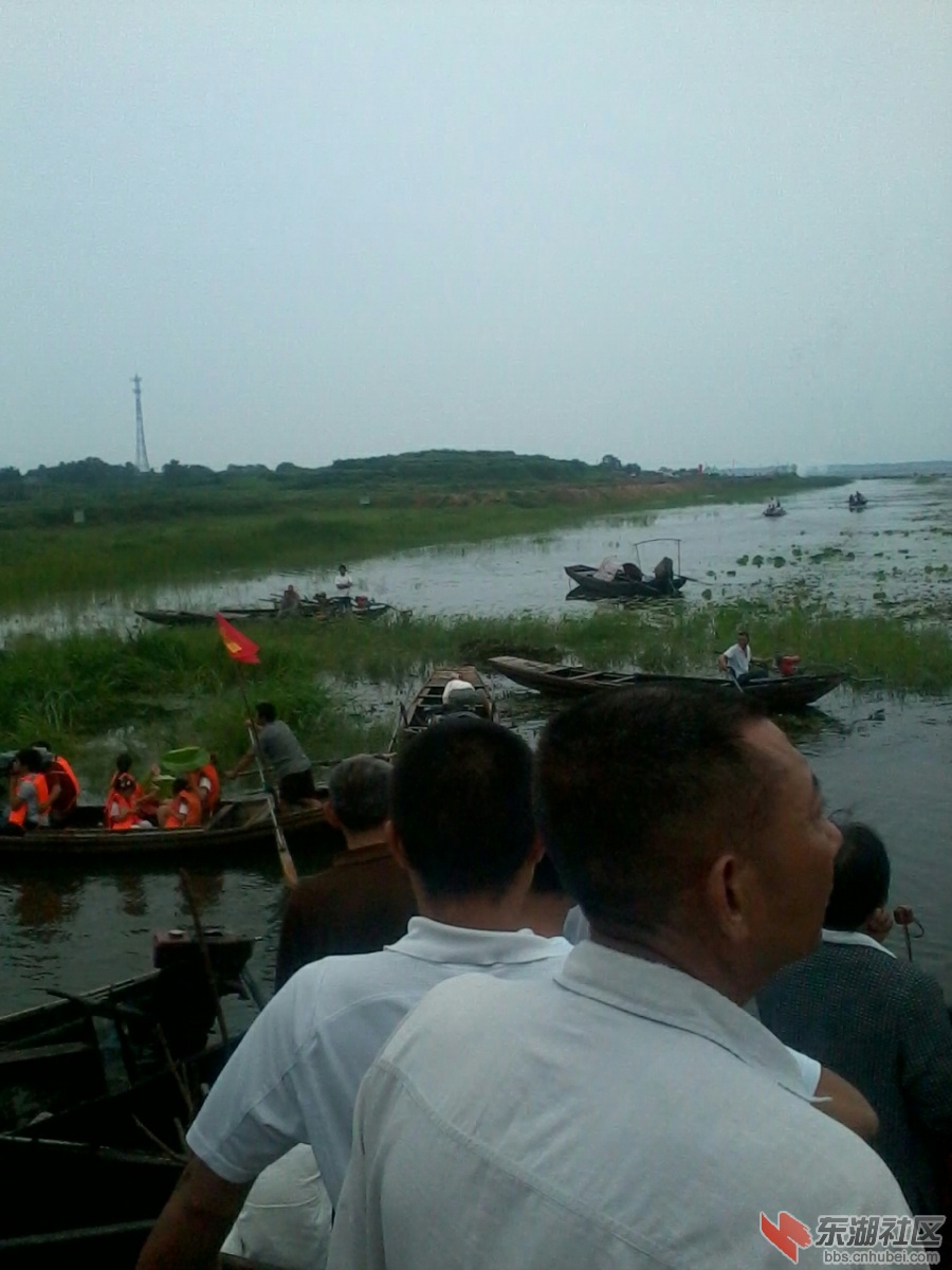 IMG_20130707_110609.jpg