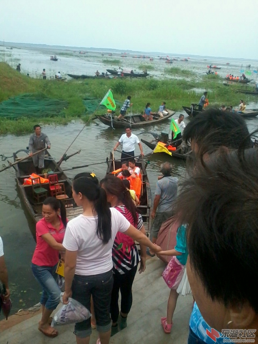 IMG_20130707_111103.jpg
