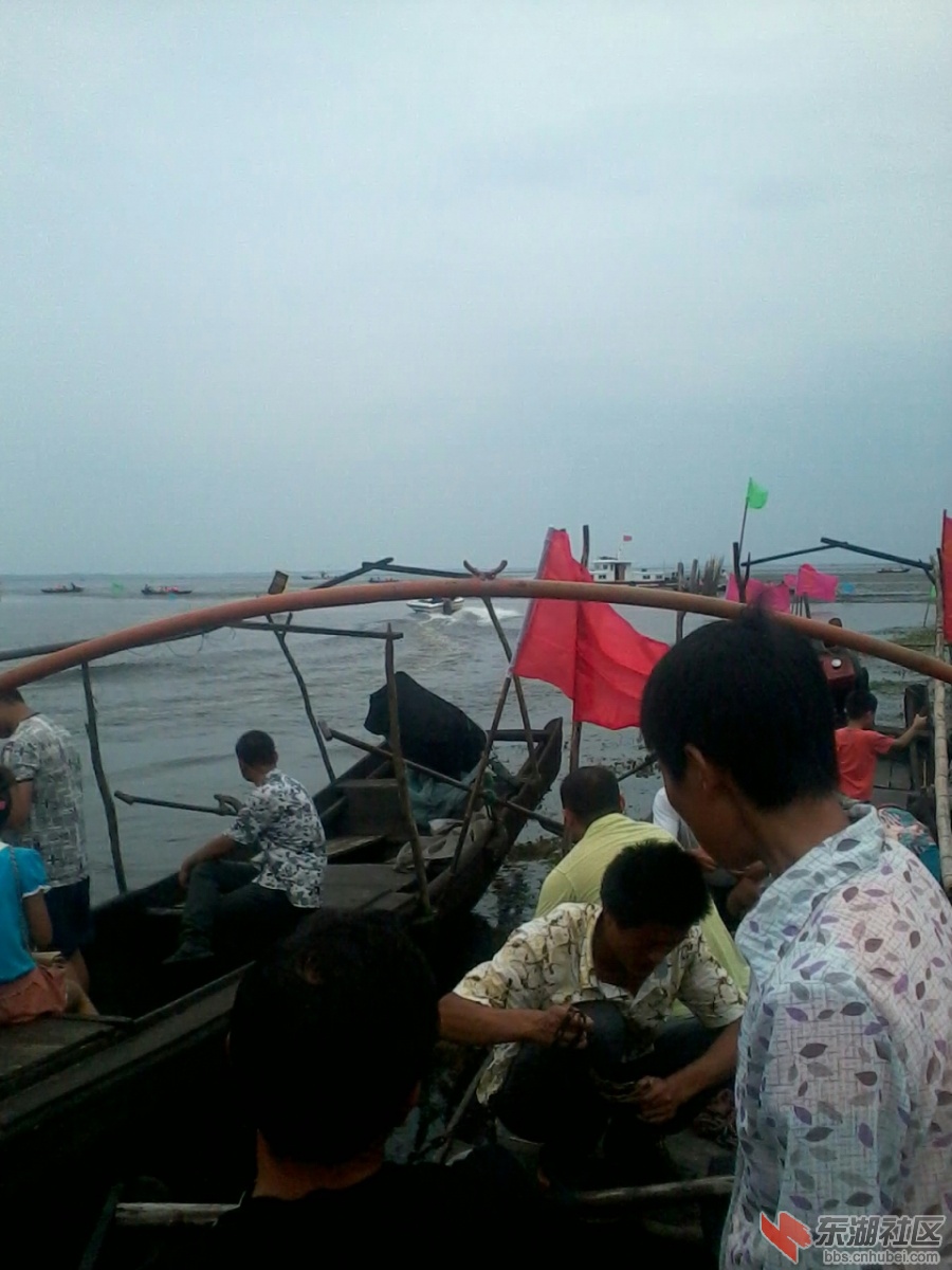 IMG_20130707_112312.jpg