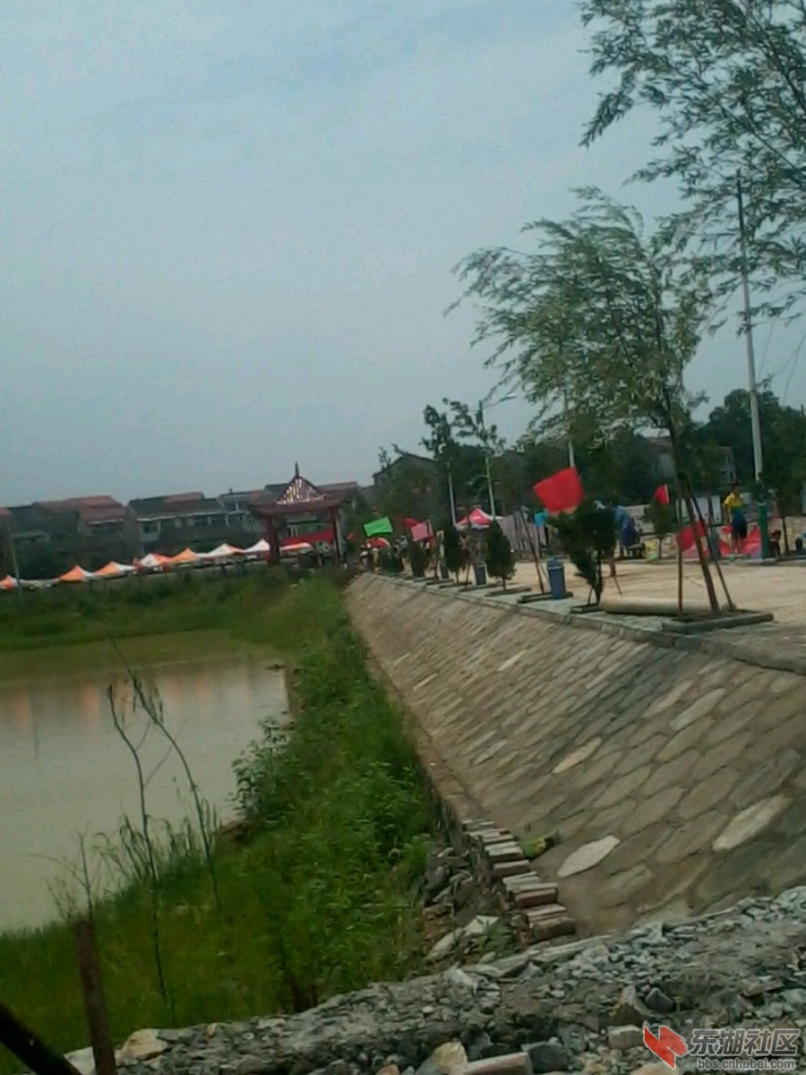 IMG_20130707_120045.jpg