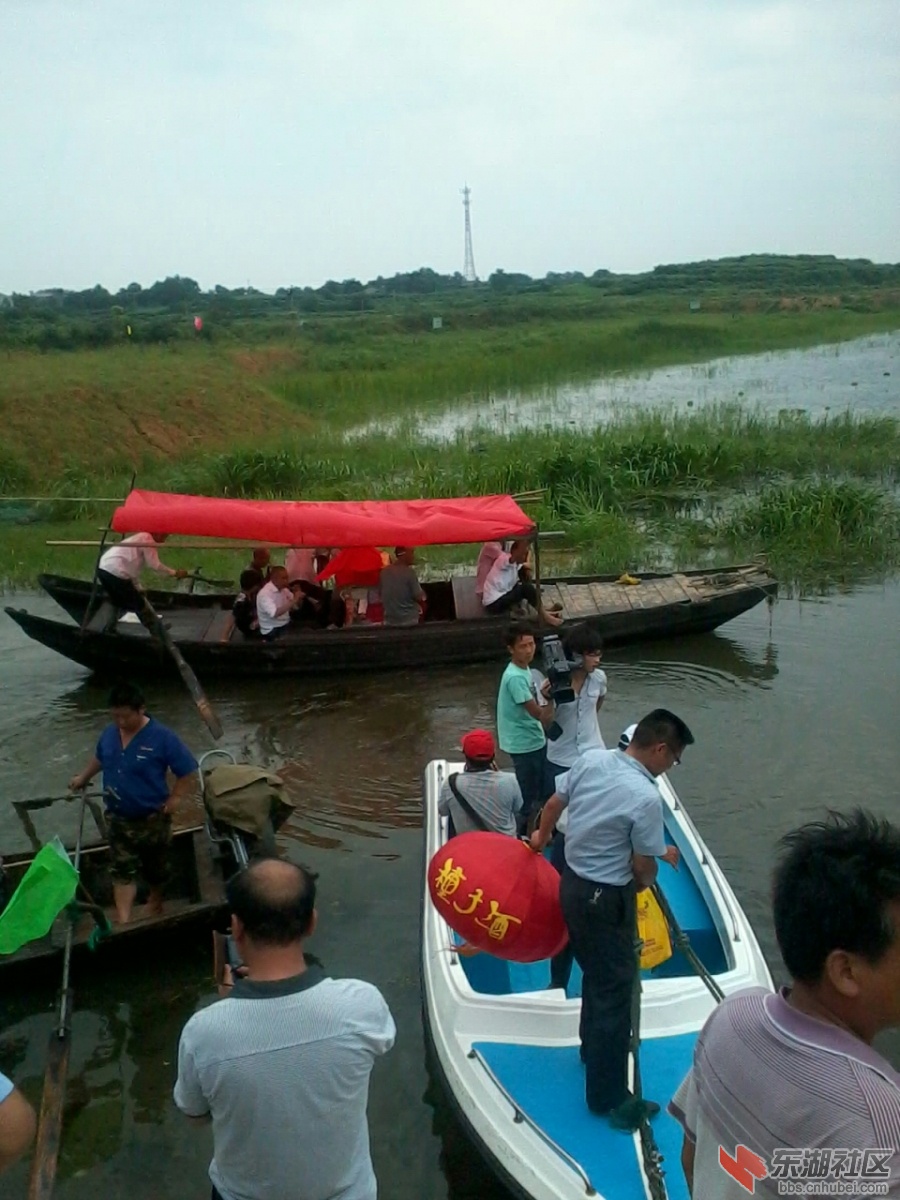 IMG_20130707_135917.jpg