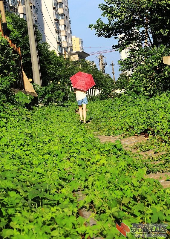 铁路6.jpg