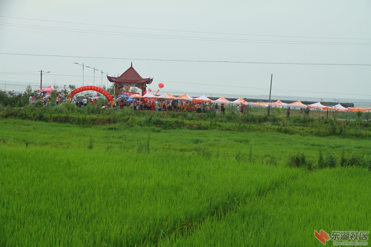 IMG_8520_调整大小.JPG