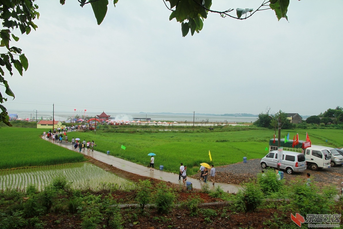 IMG_8526_调整大小.JPG