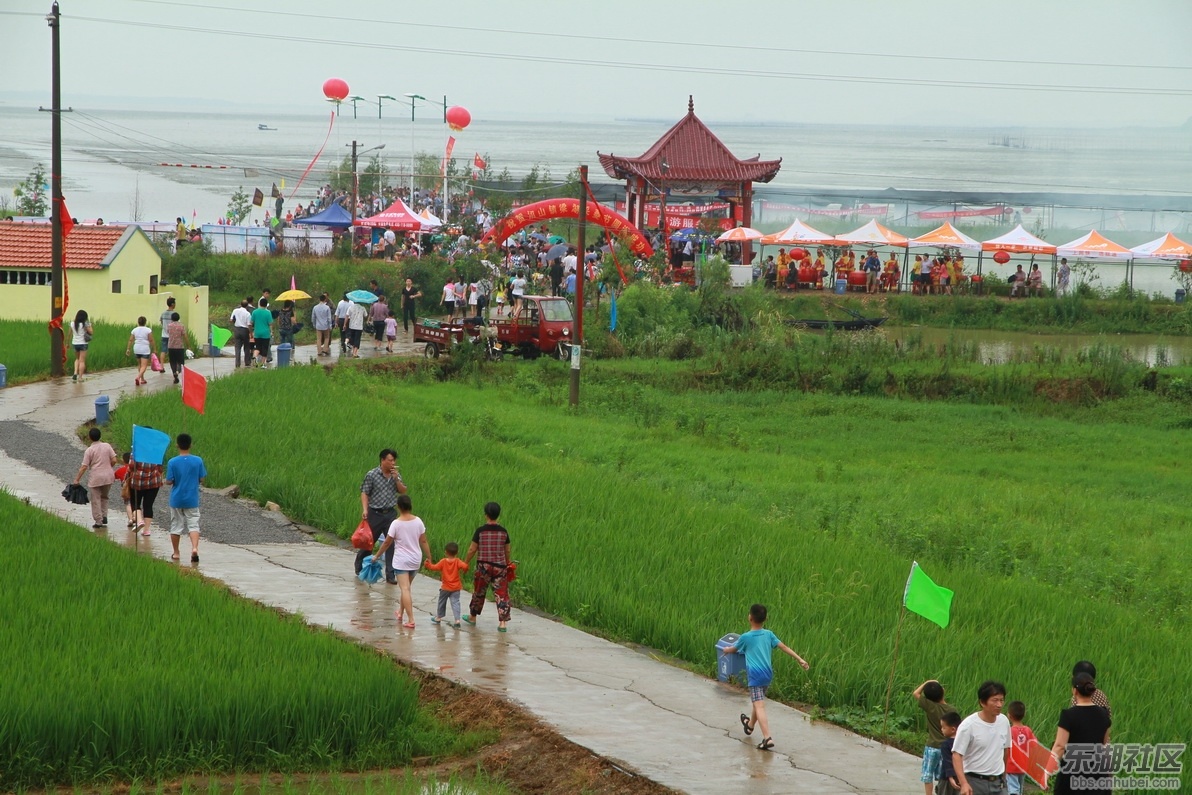 IMG_8529_调整大小.JPG