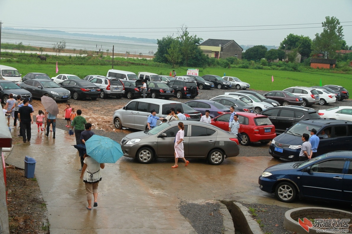 IMG_8531_调整大小.JPG