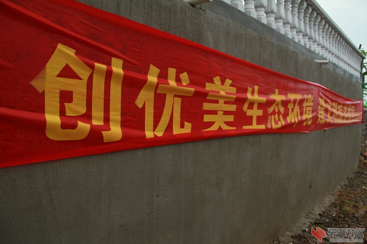 IMG_8532_调整大小.JPG
