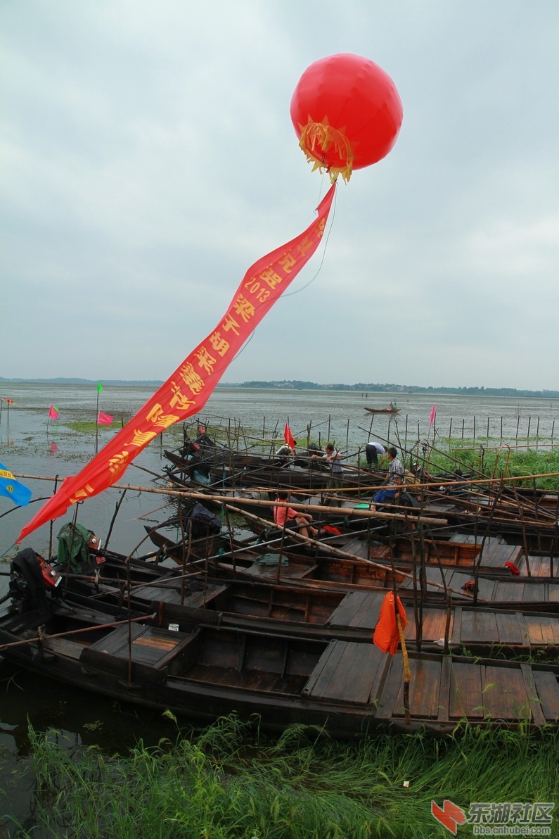 IMG_8553_调整大小.JPG