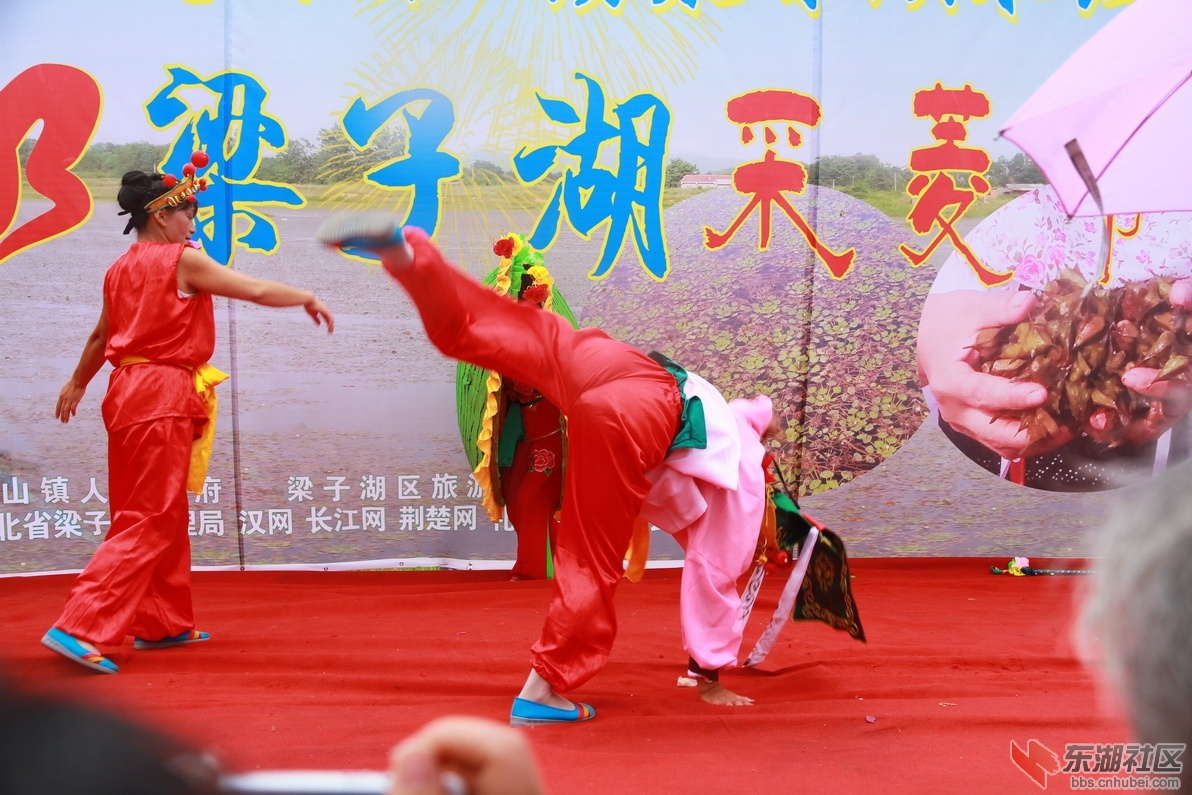 IMG_8598_调整大小.JPG