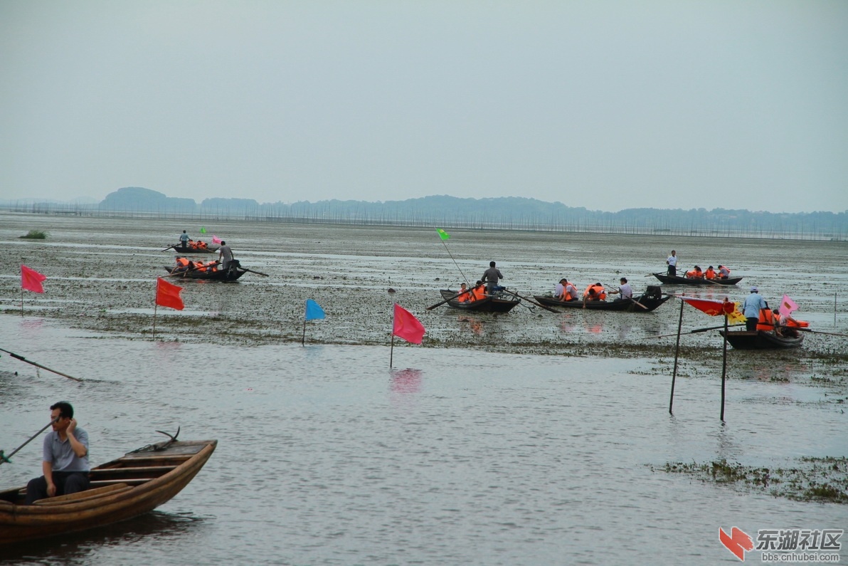 IMG_8622_调整大小.JPG