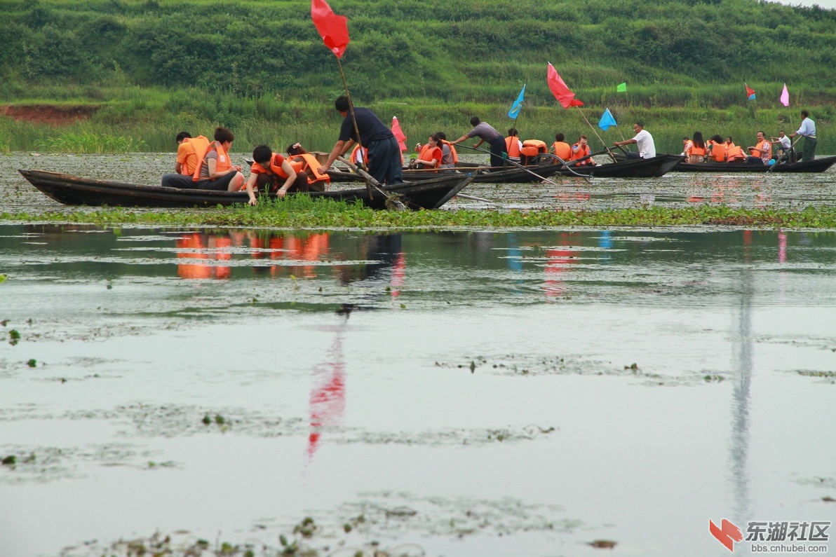 IMG_8666_调整大小.JPG