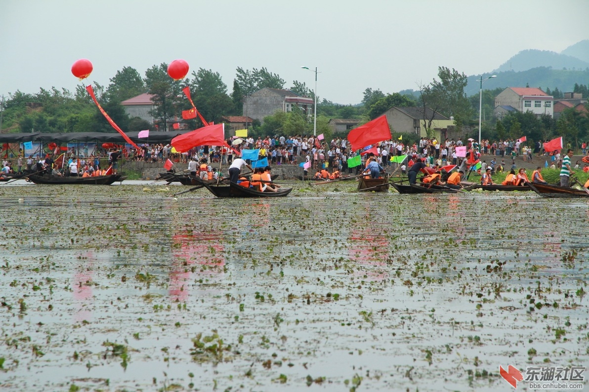 IMG_8694_调整大小.JPG