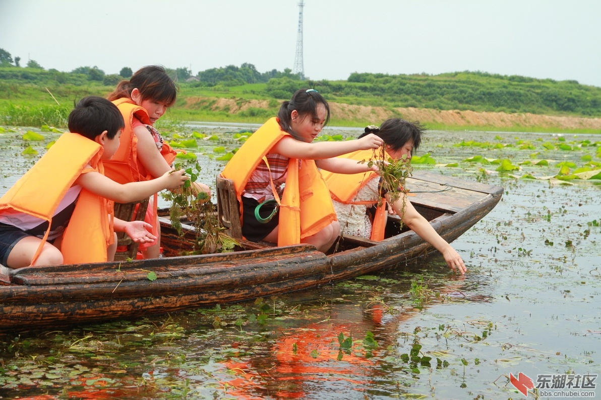 IMG_8710_调整大小.JPG