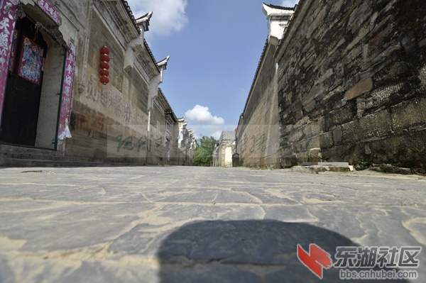 _DSC2177_副本_副本.jpg