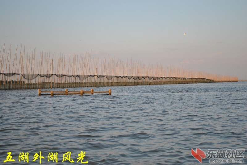 五湖外湖风光