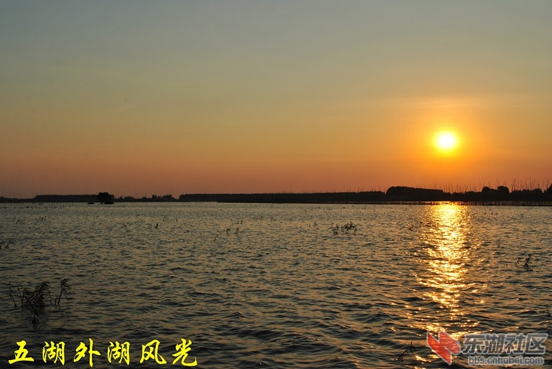 五湖外湖风光
