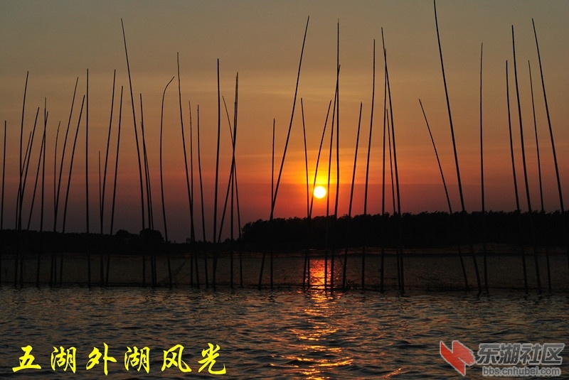 五湖外湖风光