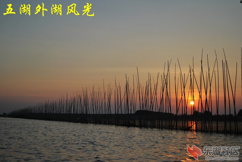 五湖外湖风光