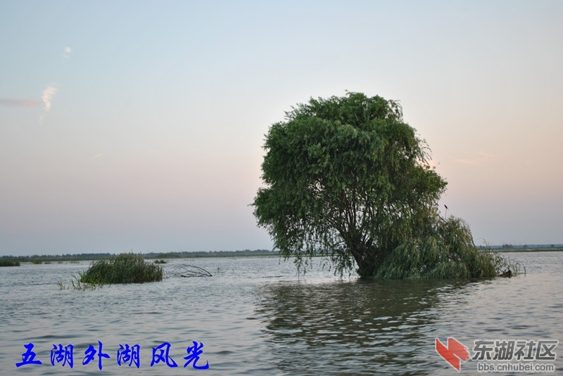 五湖外湖风光