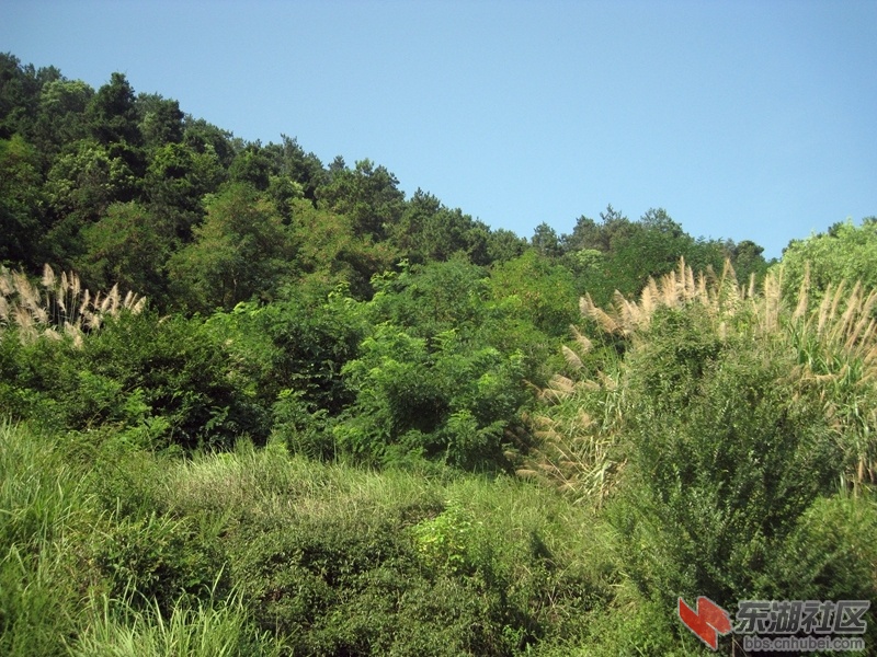 IMG_1479.jpg