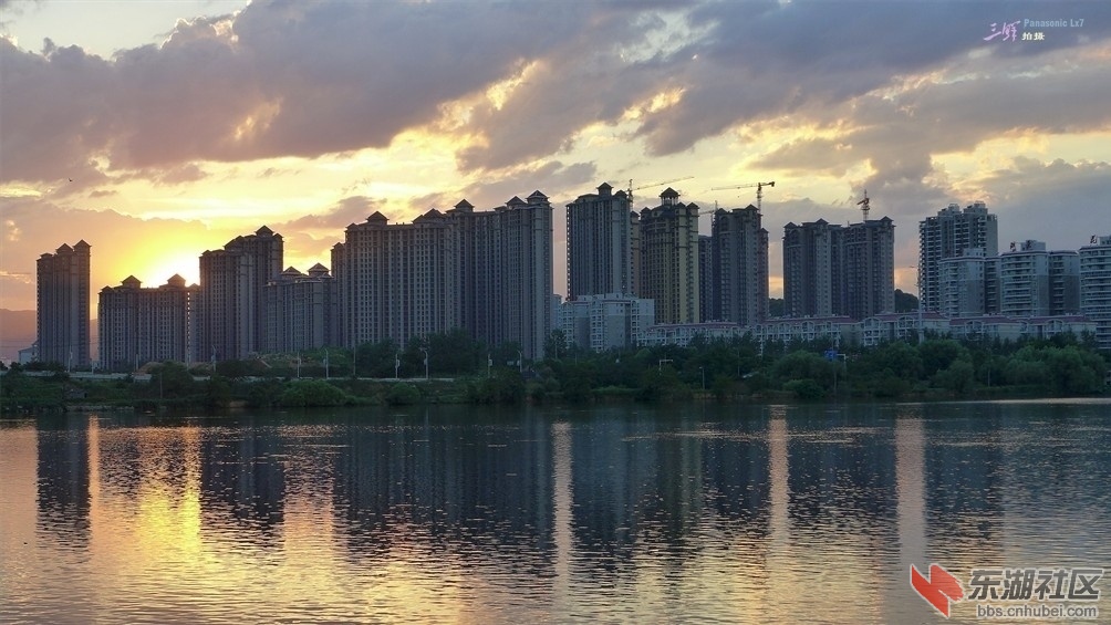 203616z4t1146r4r6olool.jpg.thumb.jpg
