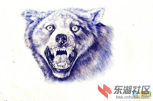 xin_52311061110518901014568.jpg