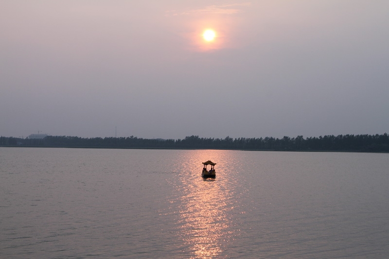 IMG_8521.jpg