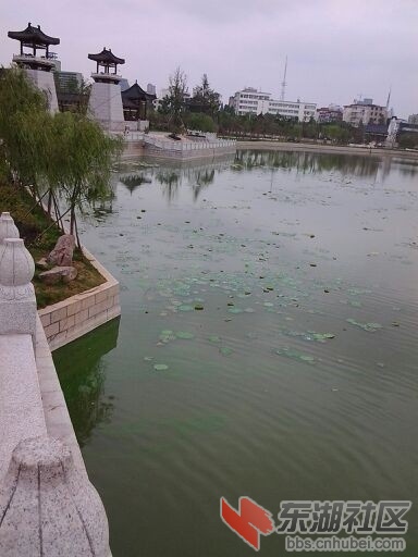 QQ图片20130718035847.jpg