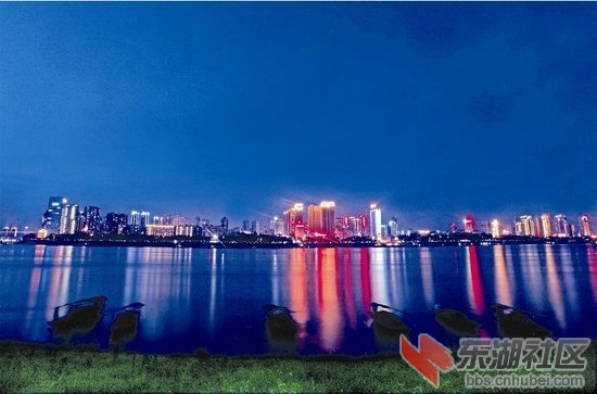 宜昌的夜景718.jpg
