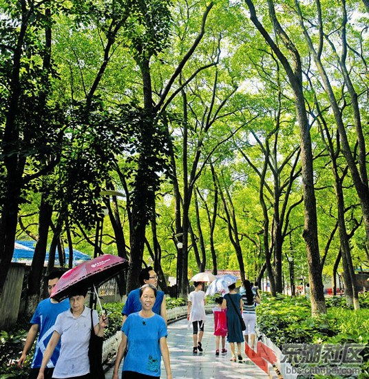 市民在宜昌城区儿童公园里散步.jpg