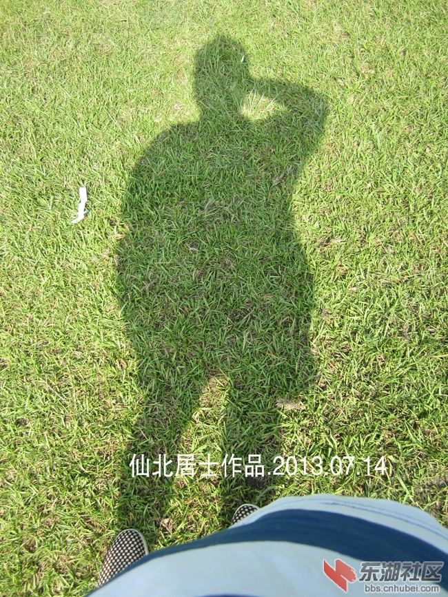 IMG_9236.jpg