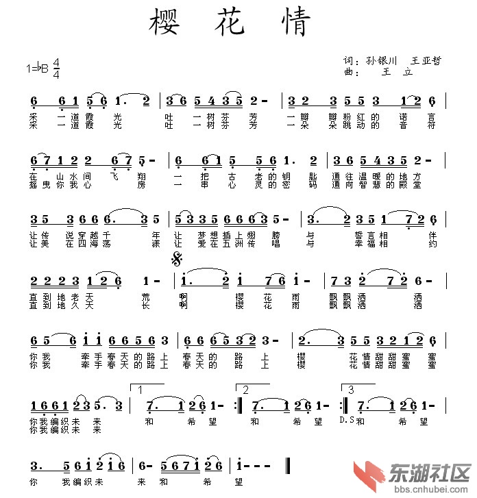 孙银川樱花情.jpg