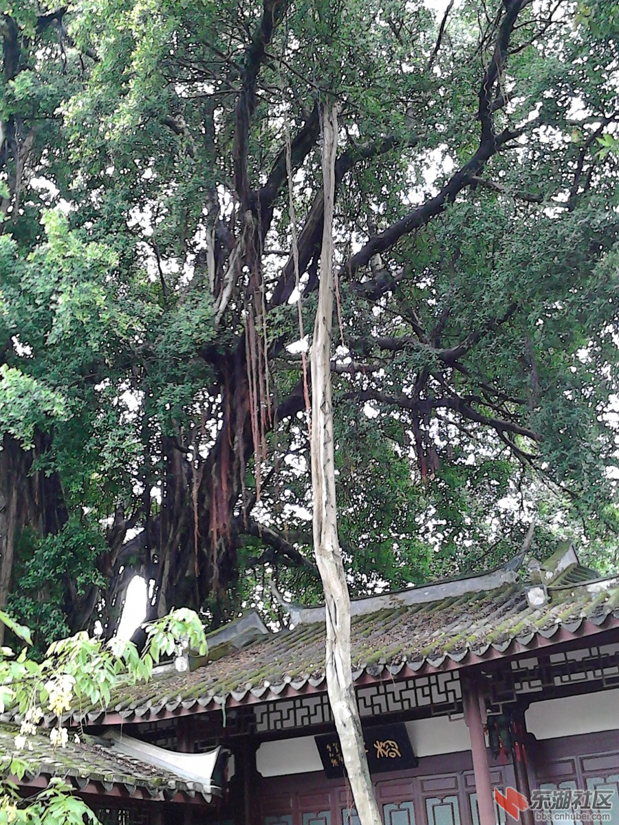 照片 378.jpg