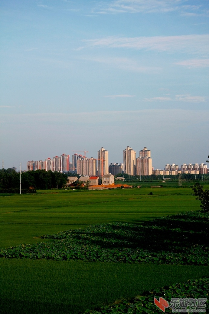 _MG_1845.JPG