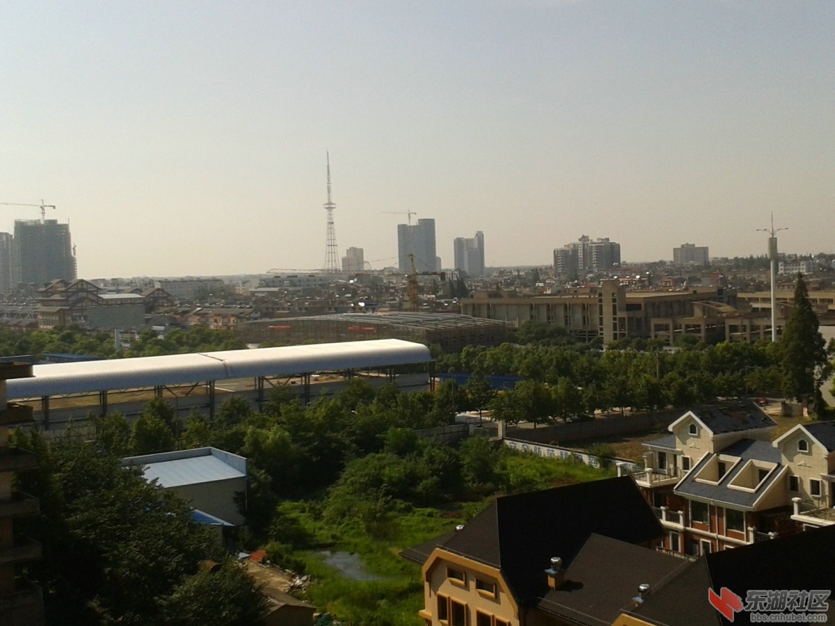 2013-07-23 08.58.36.jpg