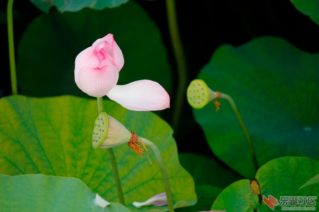 _MG_1546_副本.jpg
