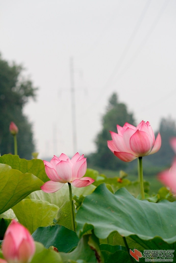 _MG_1719_副本.jpg