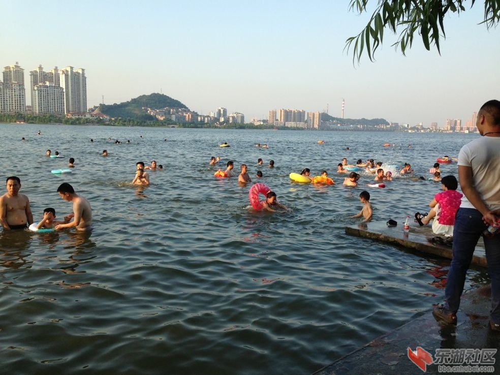 IMAG0693.jpg