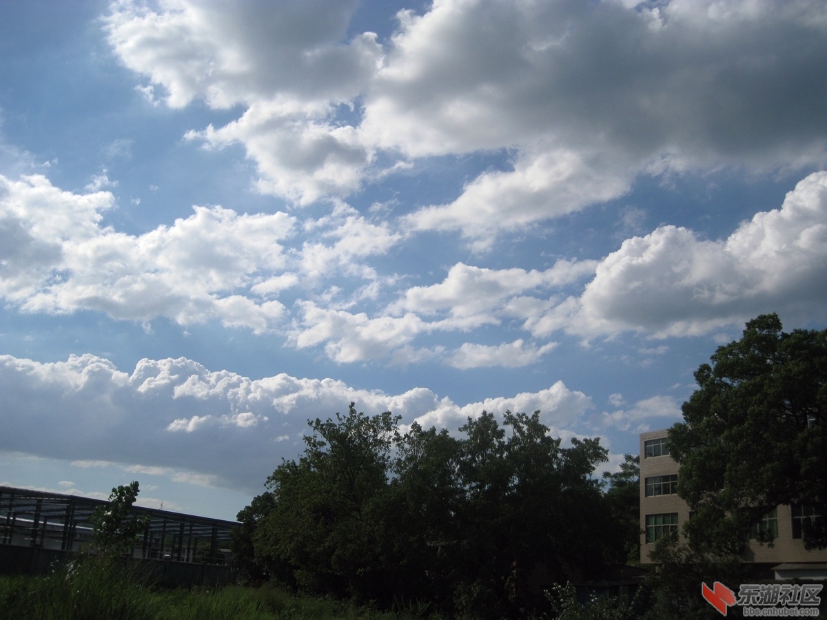 IMG_1456.jpg