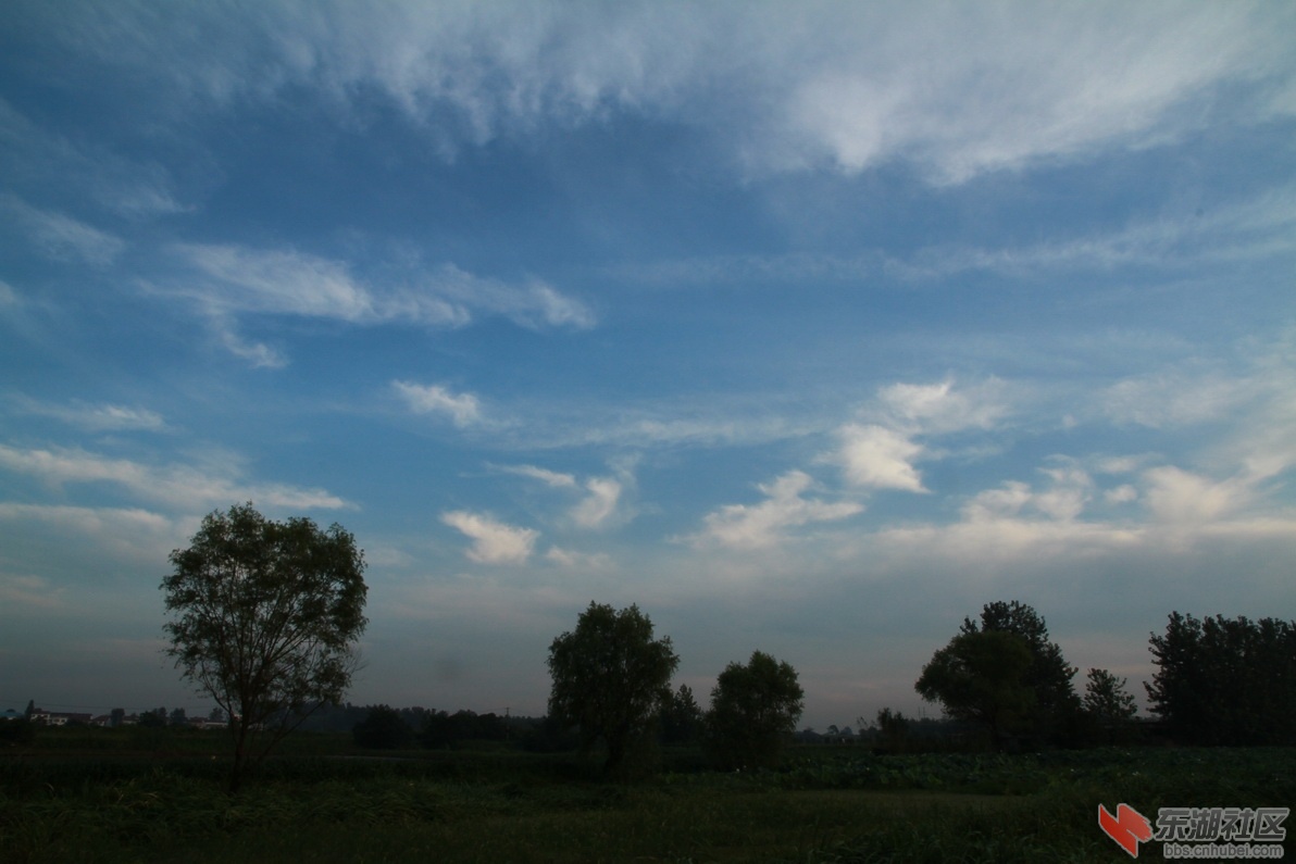 IMG_1837_调整大小.JPG